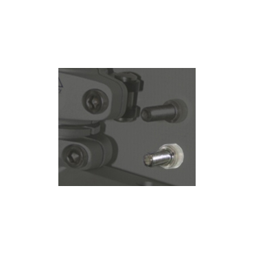 Eclipse Ego/Geo/Etek Feed Neck Screw (sh