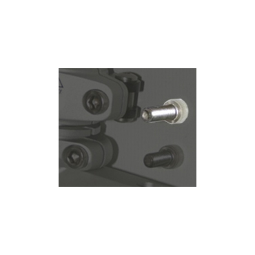 Eclipse Ego/Geo/Etek Feed Neck Screw (lo