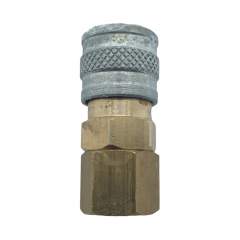US Foster Fitting Female, 1/8 NPT Female Thread, Pintavaurio