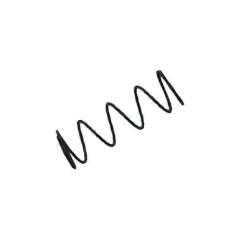 DYE DM Ball Detent Spring